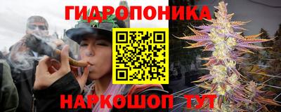 индика Донской
