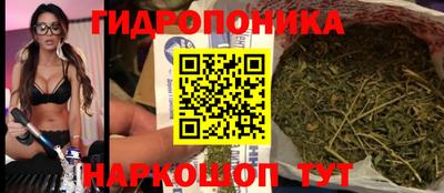 индика Донской